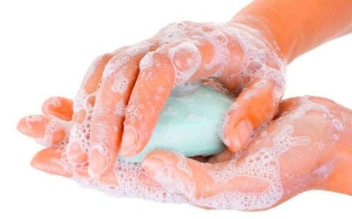 b9fb92d84a3f3562c5985c879c4d2728